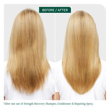 Strength Recovery Shampoo - Biolage Renovation NZ | L'Oréal Partner Shop